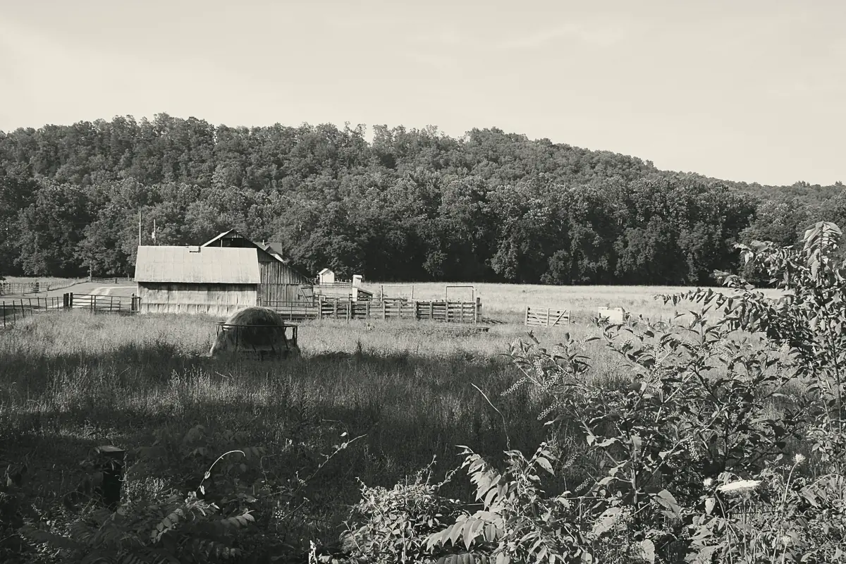 A barn and pasture below wooded hills in the Mark Twain National Forest